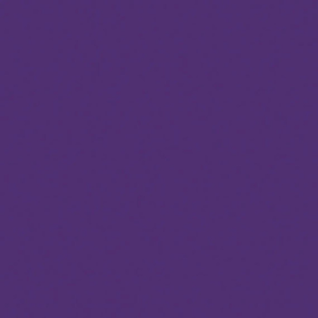 COLORANTE CONCENTRATO UNIVERSALE VIOLA 40 ML