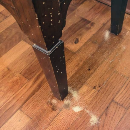 INSETTICIDA ANTITARLO LIQUIDO 1LT