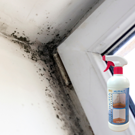 Spray antimuffa 750ml