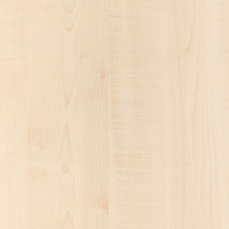 COPRIVITE COPRIFORO ADESIVO FRASSINO DIAMETRO 9mm